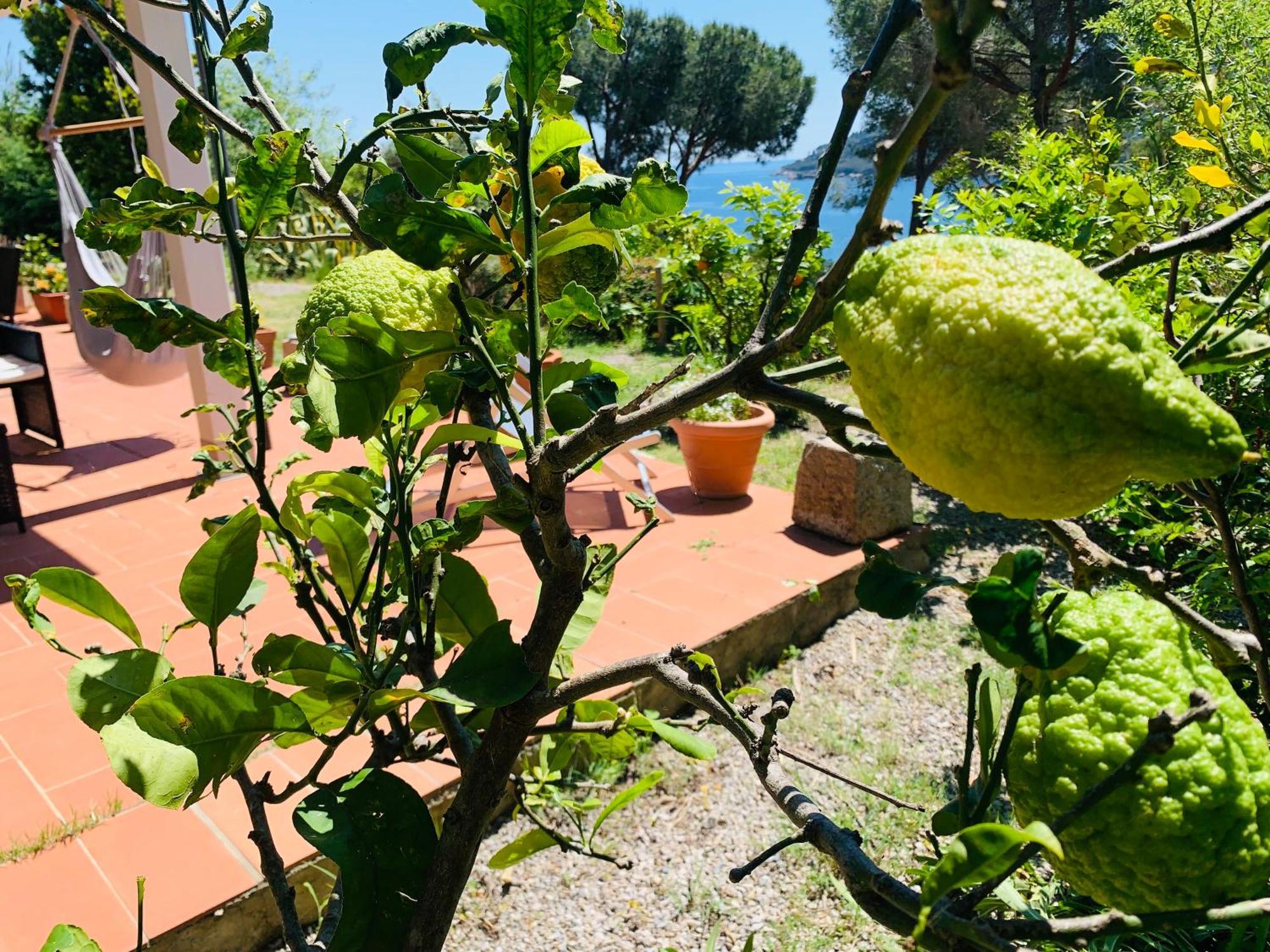 Case Dei Limoni Sul Mare Каполівері Екстер'єр фото